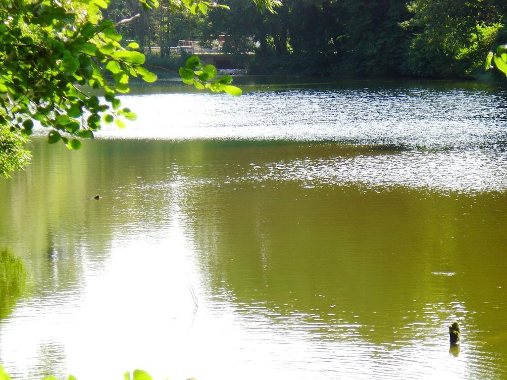 Carmina Am See Karnin  Bagian luar foto