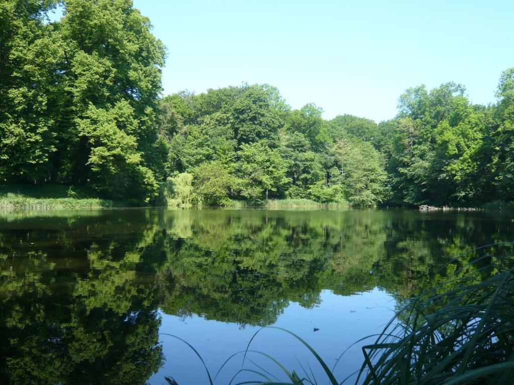 Carmina Am See Karnin  Bagian luar foto